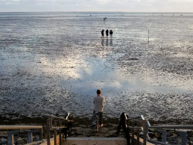 Een paar wandelaars ver weg op het natte wad bij laag water