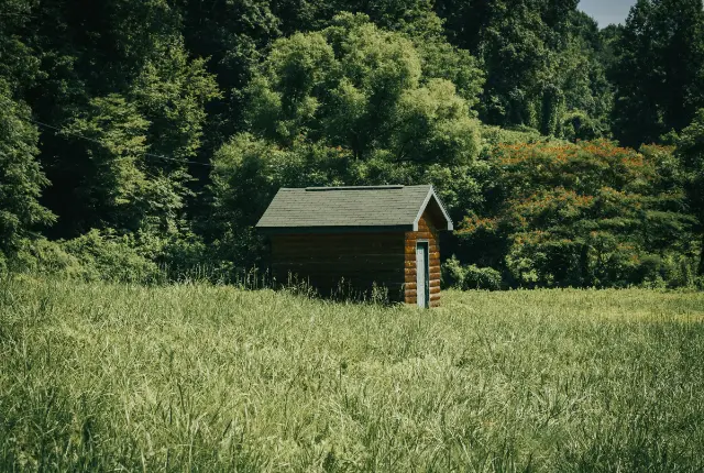 Een klein houten huisje in hoog gras aan de rand van het bos