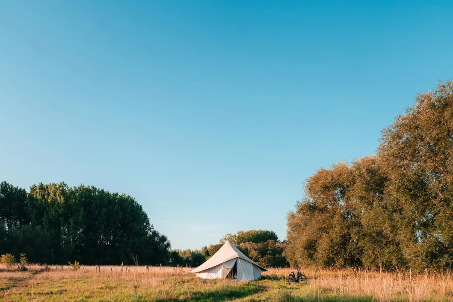 Een witte tent in een zonnig, hoog grasveld met bomen eromheen