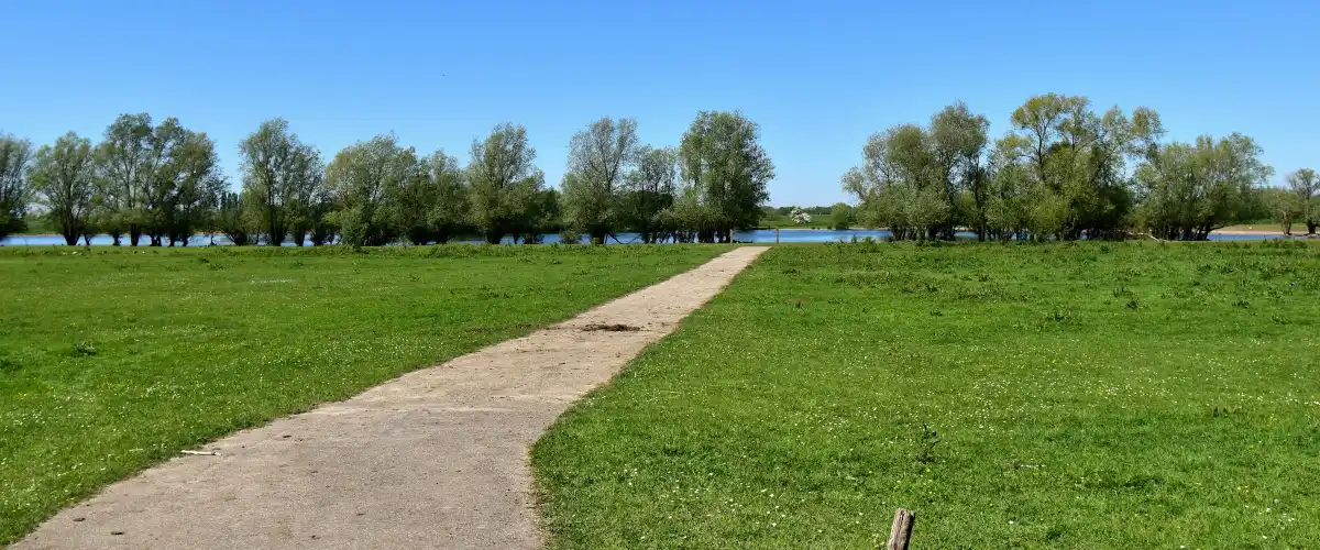 Een smal pad loopt door een groen weiland naar een rij knotwilgen aan het water