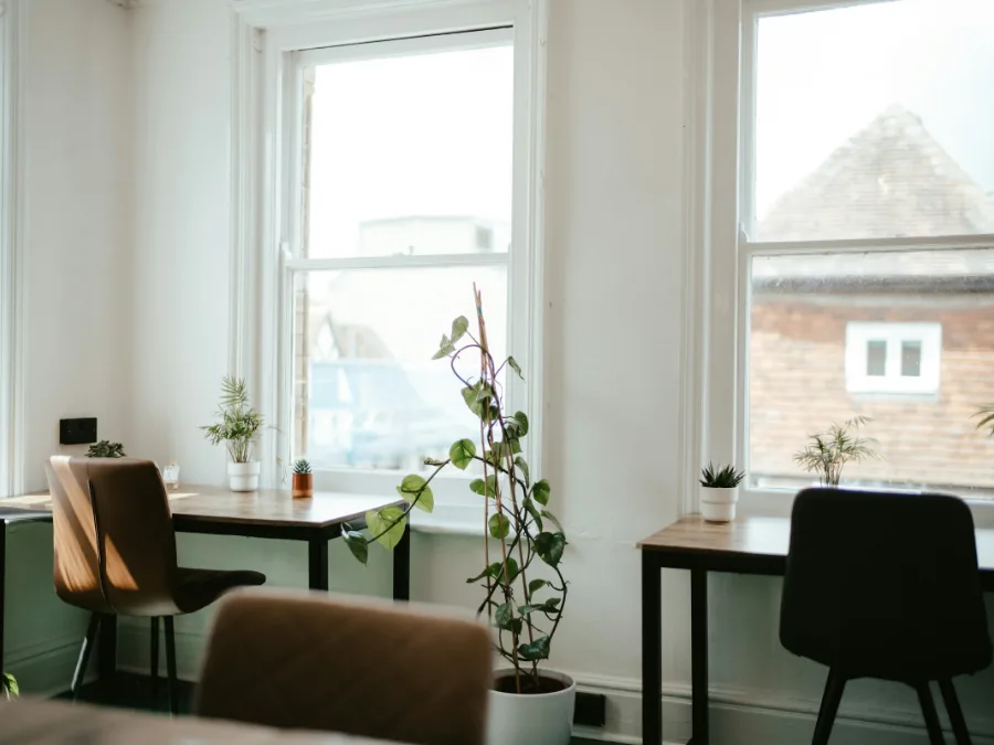 De praktijkruimte met twee stoelen bij grote ramen en planten op de vensterbank
