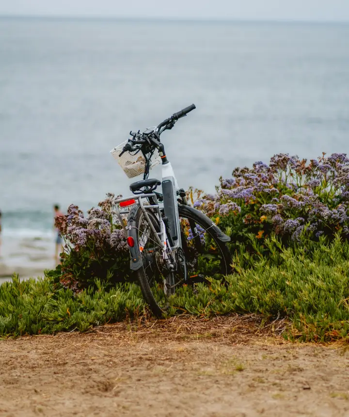 Een witte e-bike met een mandje staat tussen paarse bloemen aan de waterkant