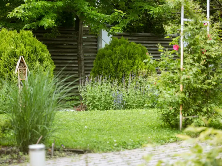 Gazon met borders vol paarse en witte vaste planten, een vogelhuisje en een grindpad