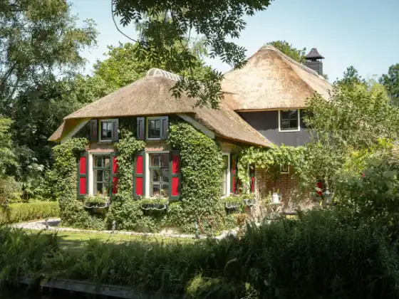 Vrijstaand huis met een rieten kap, rode luiken en klimop in een groene tuin