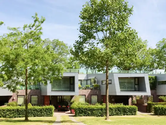 Moderne villa's met grote ramen achter een groene haag en bomen