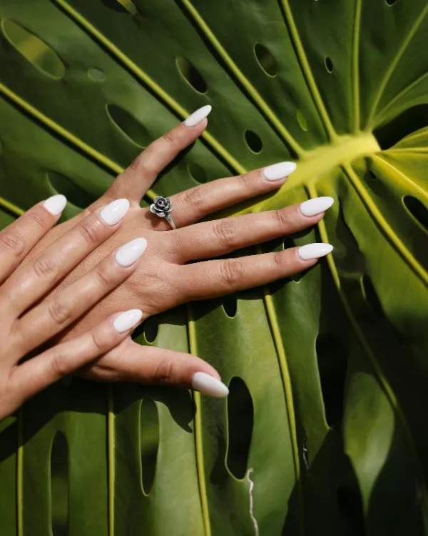 Twee handen met lange, melkwitte amandelnagels op een groot groen blad