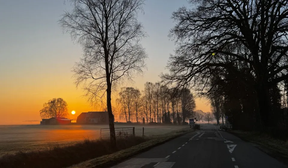 Een polderweg in Friesland bij zonsopkomst, met kale bomen langs de kant