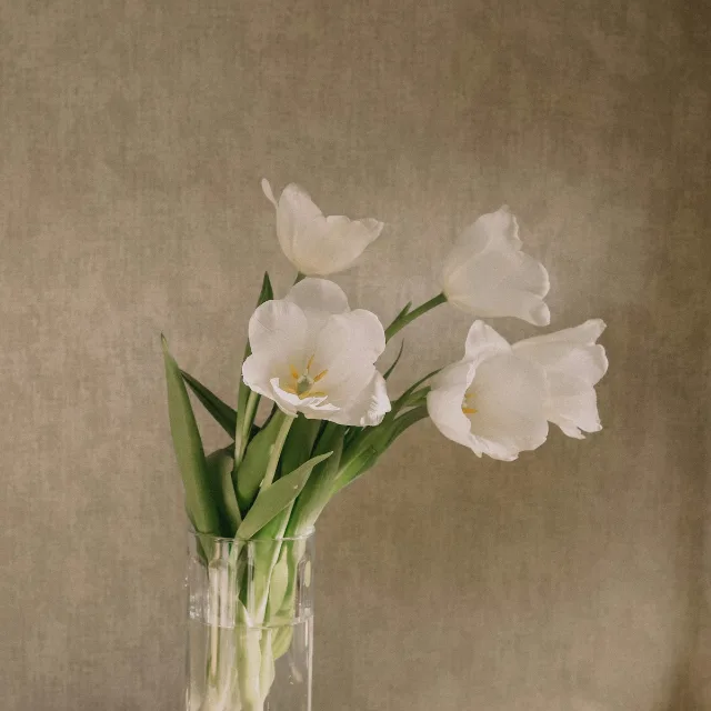 Witte tulpen in een glazen vaas